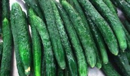 保定汇博吃瓜,一场吃瓜盛宴背后的故事