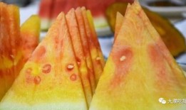 吃双尾瓜,探寻独特风味与营养奥秘