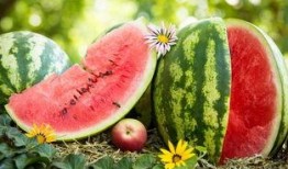 以前吃瓜,那些年我们一起吃过的瓜