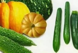 玉婷吃瓜,揭秘娱乐圈幕后故事