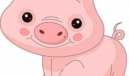 吃瓜猪比赛,趣味横生的农业竞技盛宴