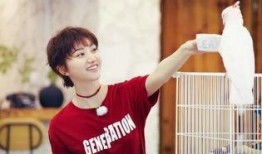 吃瓜文赫,一场娱乐圈的狂欢盛宴