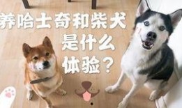 名柯吃瓜,揭秘柯南背后的神秘世界