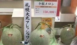 冰淇淋网纹瓜怎么吃,夏日消暑新宠，创意食用指南