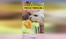 吃猫猫的瓜,一场关于动物保护的争议风暴
