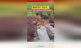 齐齐整整吃瓜,揭秘娱乐圈幕后故事