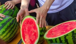 甜王吃瓜,揭秘娱乐圈甜蜜背后的瓜田秘事