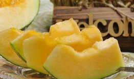 少女吃哈密瓜,少女邂逅哈密瓜的清新美味之旅