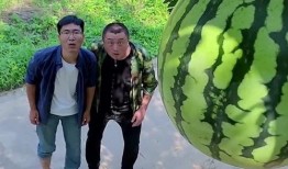 壁纸吃瓜群,揭秘网络社交圈的趣味与争议