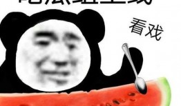 吃瓜出售,揭秘吃瓜背后的秘密与商机