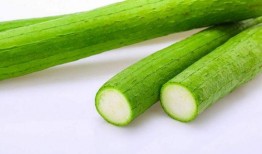 老人吃瓜日常,老人的悠闲夏日生活