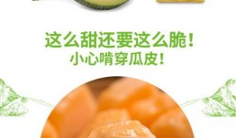 吃蜜瓜视频播放,甜蜜滋味，视觉盛宴