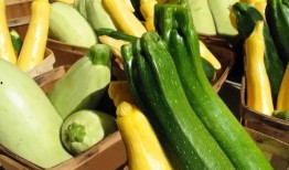 恩施 吃瓜,探寻神秘山城里的“吃瓜”文化