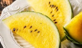 瓜瓜吃瓜人物,揭秘娱乐圈幕后风云人物