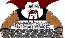 乌鸦坐飞机 吃瓜,空中吃瓜记