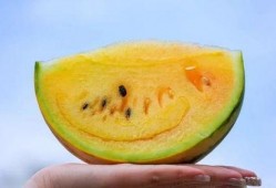 云南直接吃的瓜,直接品尝的瓜果盛宴