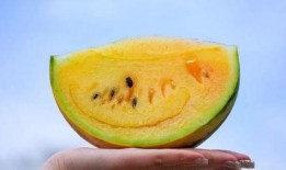 云南直接吃的瓜,直接品尝的瓜果盛宴