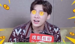 明星娱乐圈吃瓜王鹤棣,娱乐圈吃瓜王，揭秘明星幕后故事