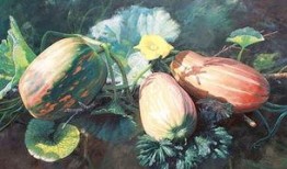 梦到去瓜园吃瓜