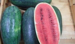 云浮市吃瓜,瓜果飘香，品味夏日清凉