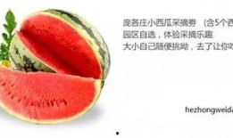 十五中吃瓜,一场校园吃瓜大事件的背后真相