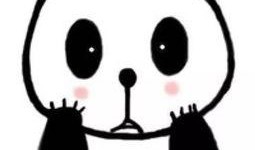 熊猫吃瓜漫画头像,欢乐无限漫画头像背后的趣味故事