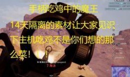 吃鸡呆瓜名片,揭秘游戏界的搞笑达人