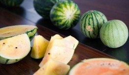 嘉兴吃瓜哥,揭秘当地美食背后的故事