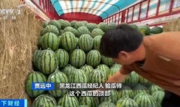 曹县7.29吃瓜,一场网络狂欢背后的真相与反思