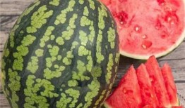 还有更大的瓜等着吃