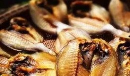 捕鱼出海吃瓜,尽享海岛悠闲时光