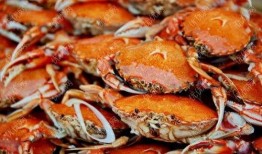 螃蟹吃瓜配音,趣味配音演绎夏日清凉