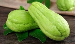 罗英子吃瓜,揭秘娱乐圈背后的秘密