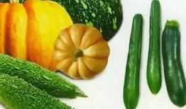 孤立吃瓜,揭秘网络时代的孤独观察能力