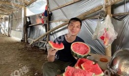 嘉兴吃瓜哥,揭秘当地美食背后的故事