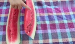 吃瓜哥俩,揭秘娱乐圈背后的那些事儿