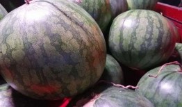 有人吃网纹瓜吗,新晋网红水果，你尝过吗？