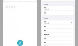 吃瓜聊天翻译,揭秘娱乐圈幕后故事