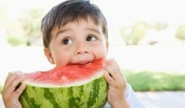 蘑菇哥吃瓜小熊,一场欢乐的夏日冒险之旅