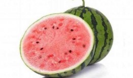 麒麟瓜有小瓜吗怎么吃,麒麟瓜小瓜的多样吃法探索