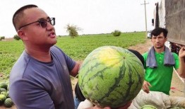 孤立吃瓜,揭秘网络时代的孤独观察能力