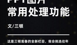 吃瓜群众ppt免费,PPT中的趣味与智慧