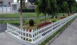 女子爬护栏吃瓜,公共安全意识亟待加强