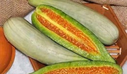 小哥吃羊角蜜瓜,甜蜜滋味尽在口中