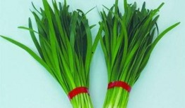 吃韭菜能吃吊瓜,探寻奇妙食材的完美搭配