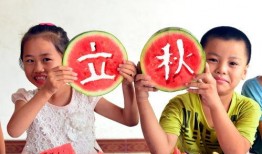 吃瓜活动六一,一场别开生面的吃瓜盛宴回顾”