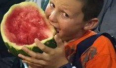 澳大利亚吃瓜视频,揭秘当地美食文化新潮流