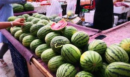 奚贵妃婆婆吃瓜,奚贵妃婆婆的瓜田奇遇记