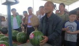 石佛寺吃瓜群众,揭秘民间热点背后的故事