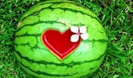 吃小瓜 周公解梦,吃小瓜周公解梦揭秘